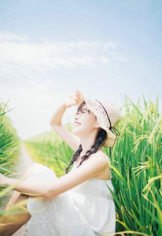 不惑之旅全集免费观看完整版